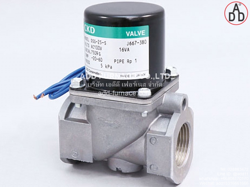 Model DSG-25-S (1) 